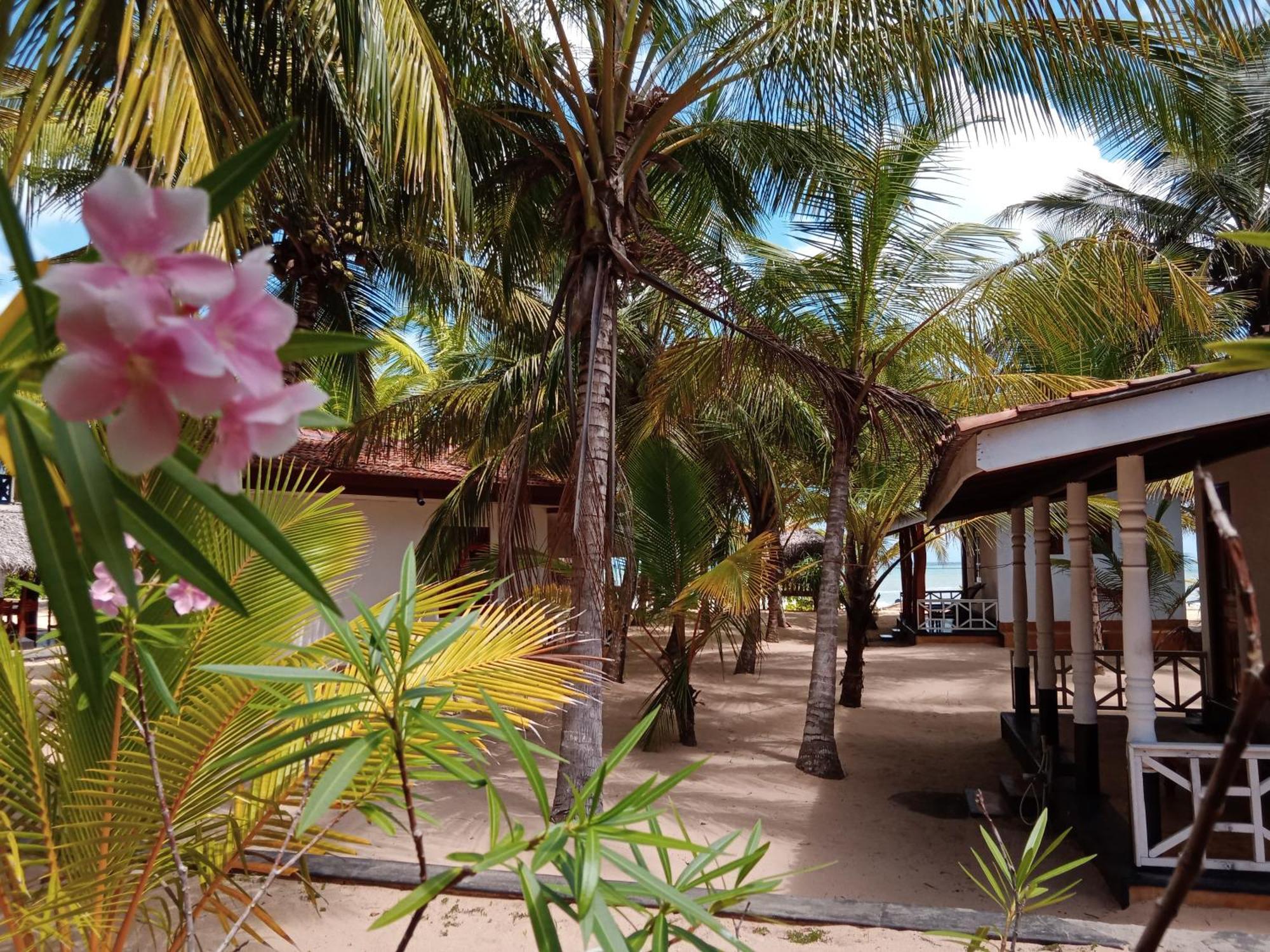 Ibisbird Beach Bungalows, Sport, Spa And Restaurant Tangalle Bagian luar foto