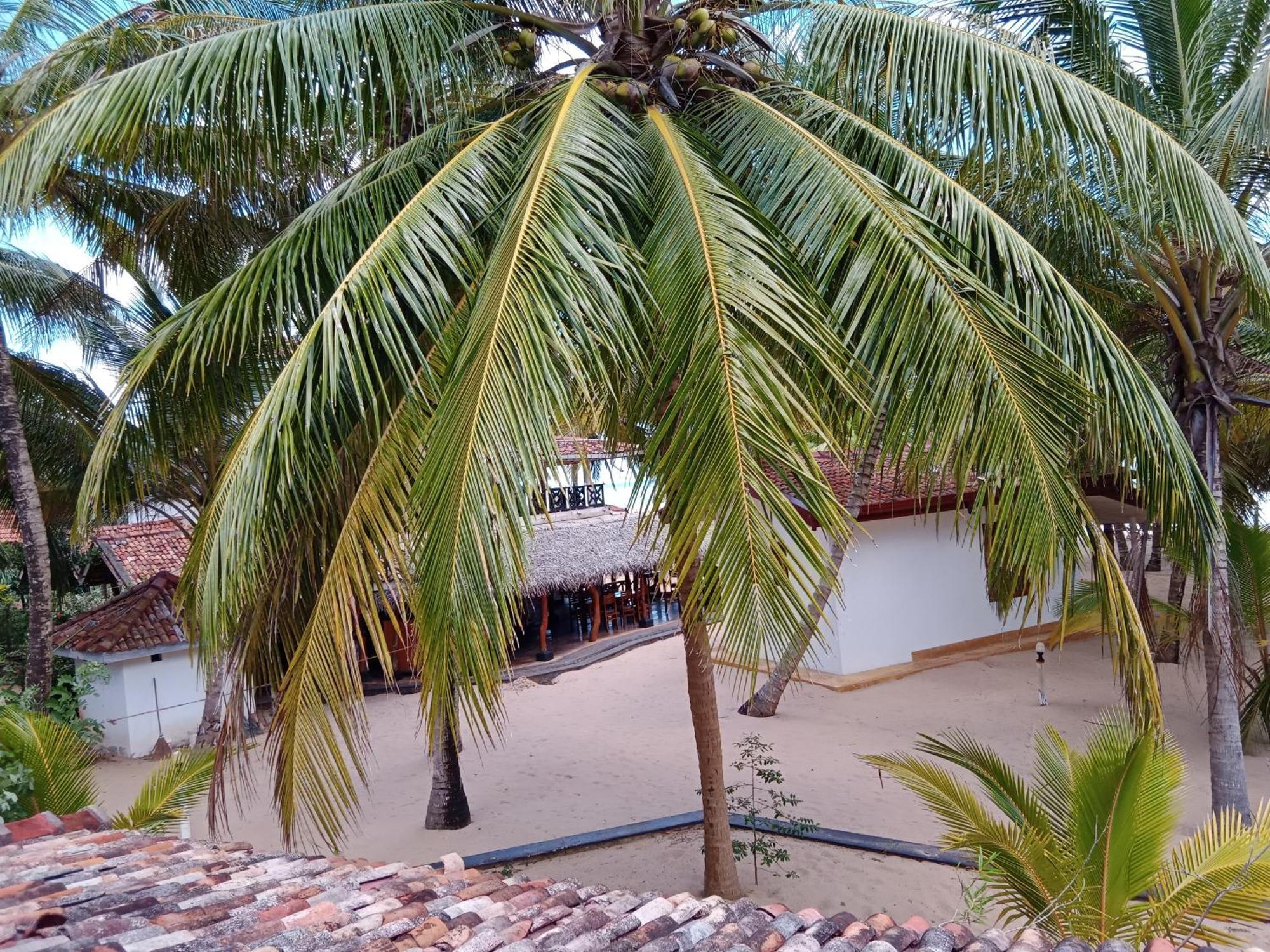 Ibisbird Beach Bungalows, Sport, Spa And Restaurant Tangalle Bagian luar foto